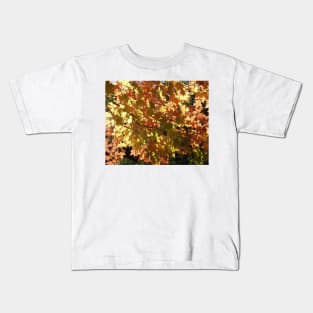 Maple Leaves in the Fall Kids T-Shirt